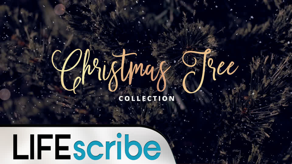 Christmas Tree Collection by Life Scribe Media - EasyWorship Media